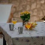 Apartman Garden Oasis