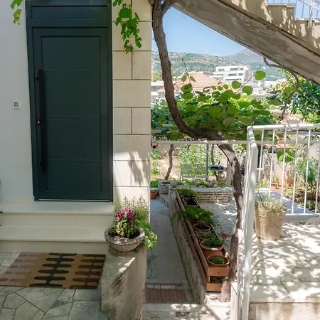 Apartment Garden Oasis