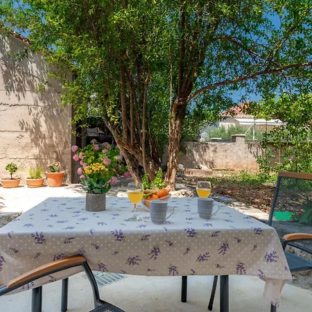 Apartment Garden Oasis