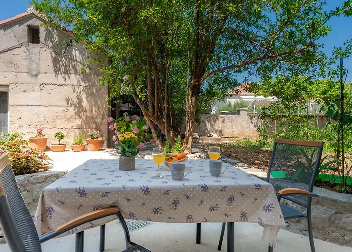 Appartement Garden Oasis